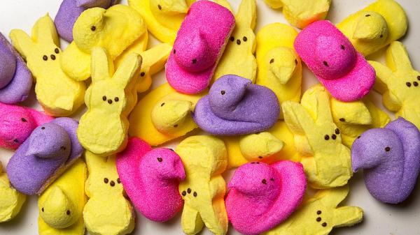 Image for event: Peep-a-Palooza entries due today!